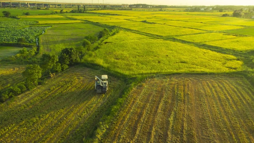 888电子(中国游)有限公司官网